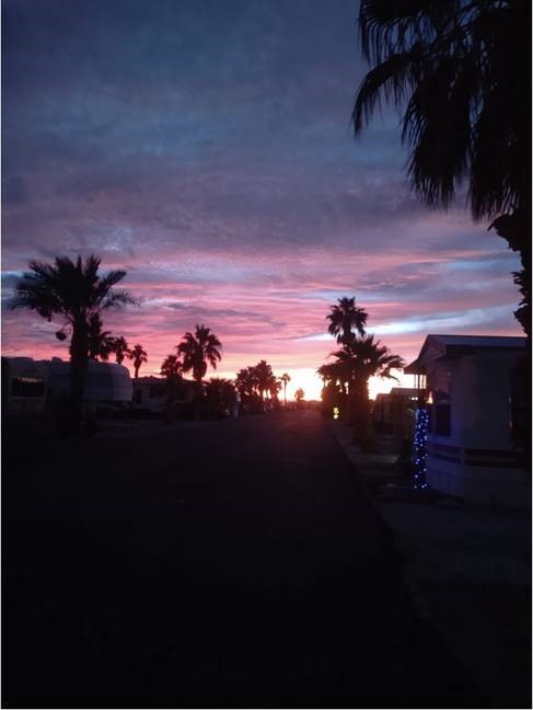 Southern Mesa photo capture by cellphone of black silhouette of palm trees as the sun sets with a purple reddish sky and the lowering orb of a sun hidden below the horizon.