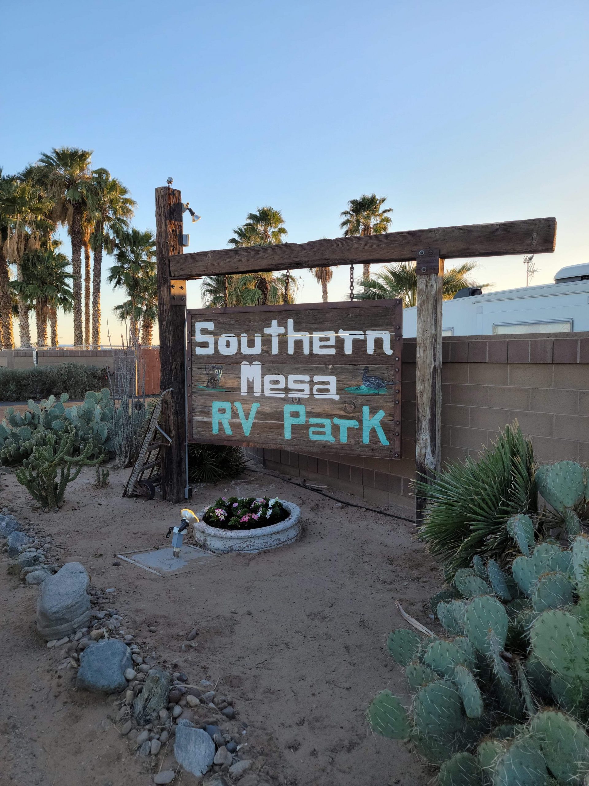 A swinging sign of Southern Mesa RV Park with a rustic look and various greens around with palm trees in the back along with a blue sky.